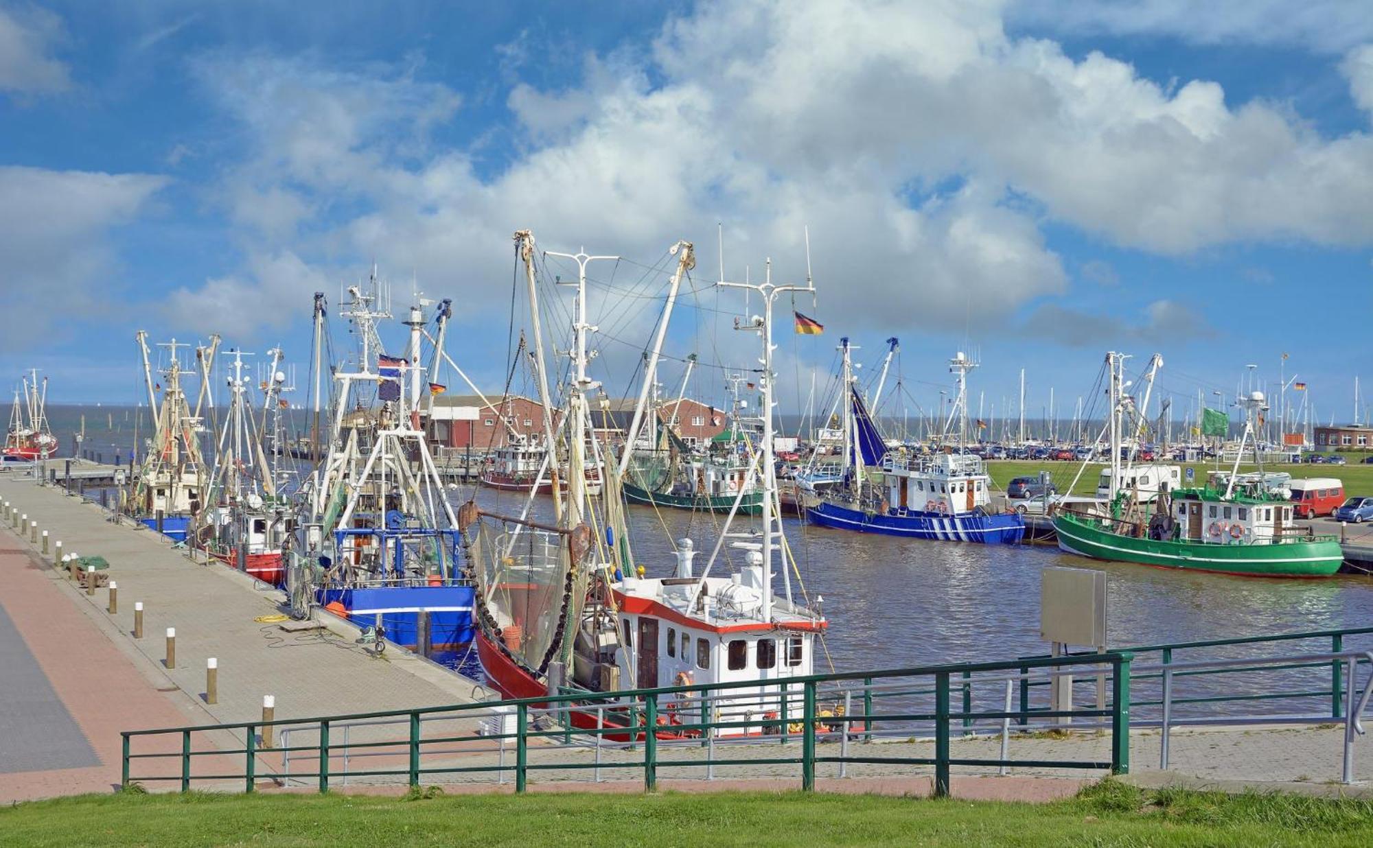 Ferienhaus Hornhecht Dornumersiel Zewnętrze zdjęcie
